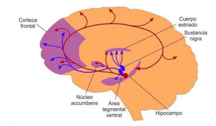 Alzheimer, l'Intelligenza artificiale individua i meccanismi d'insorgenza