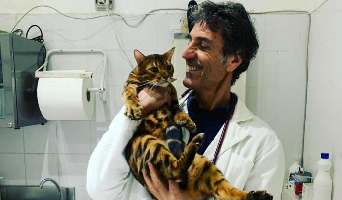 Il veterinario Coccia: “Il Covid contagia solo gli uomini. Giù le mani da cani e gatti”